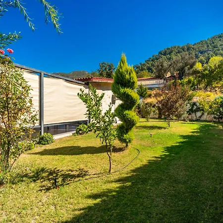 Eco Ates * Kalkan